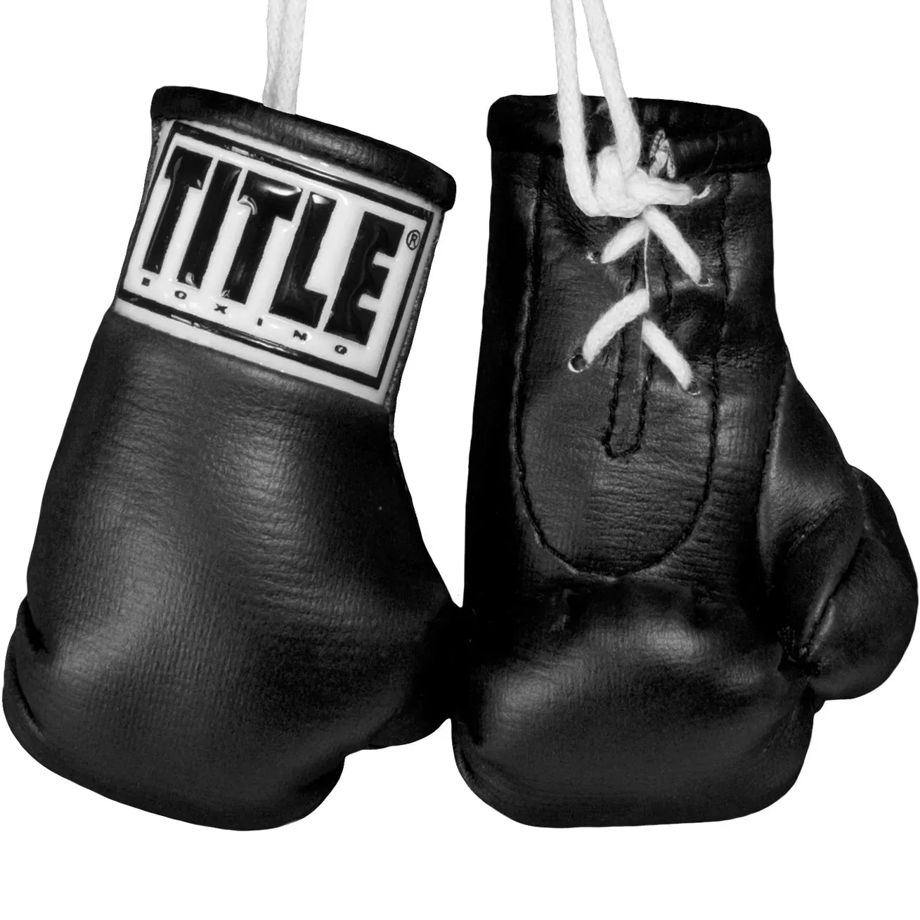Title Rear View Mirror Mini Boxing Gloves - Black